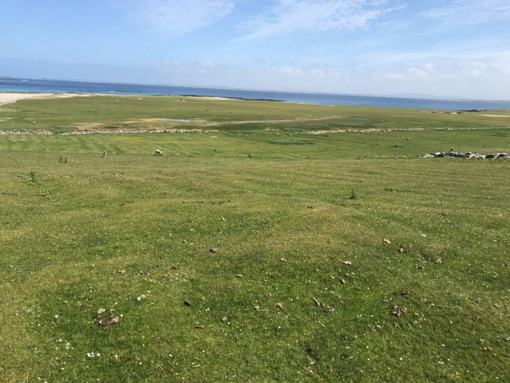 Overgrazed Machair