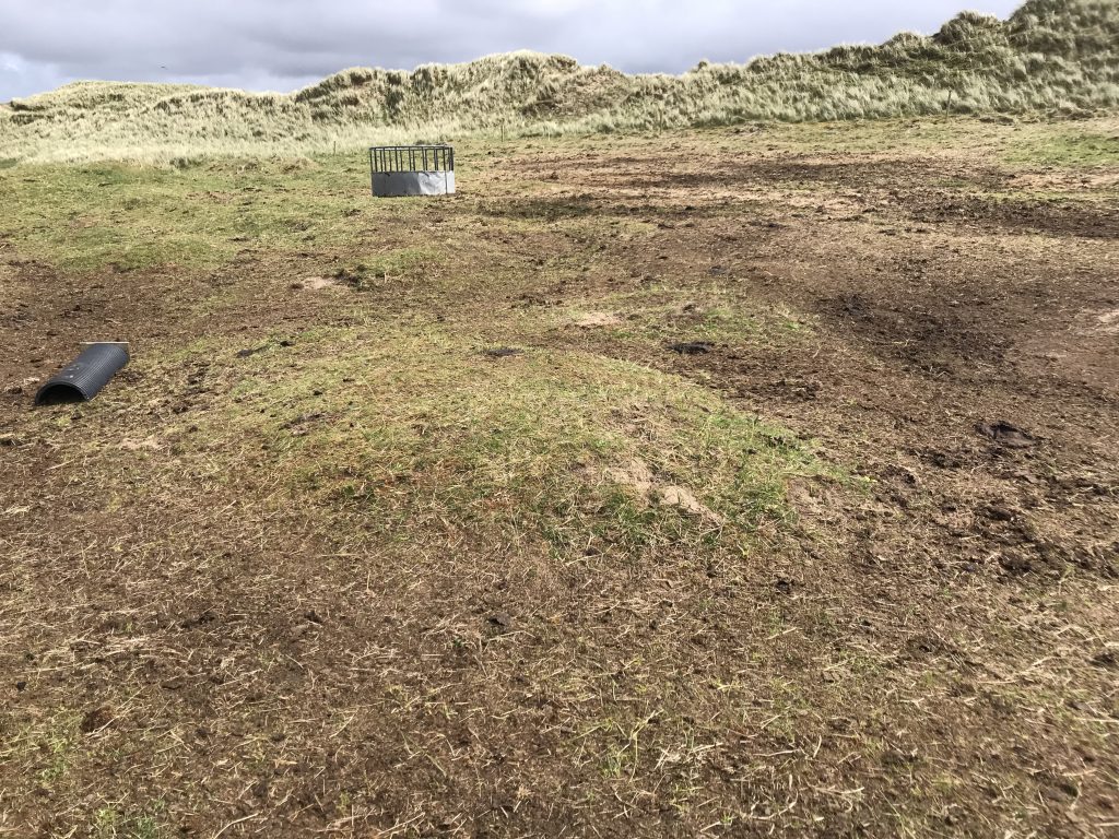 Damaged Mullet Peninsula