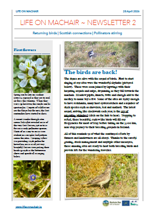 LIFE on Machair Spring Newsletter 2026