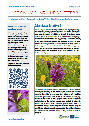 LIFE on Machair Summer Newsletter 2026
